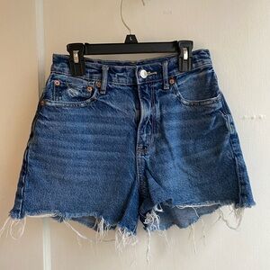 American Eagle Denim Shorts